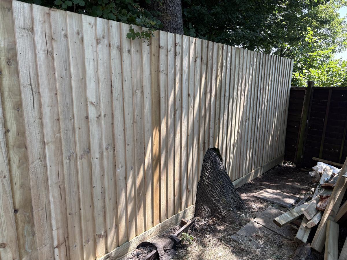 Feather-edge fence carefully cut around a tree trunk