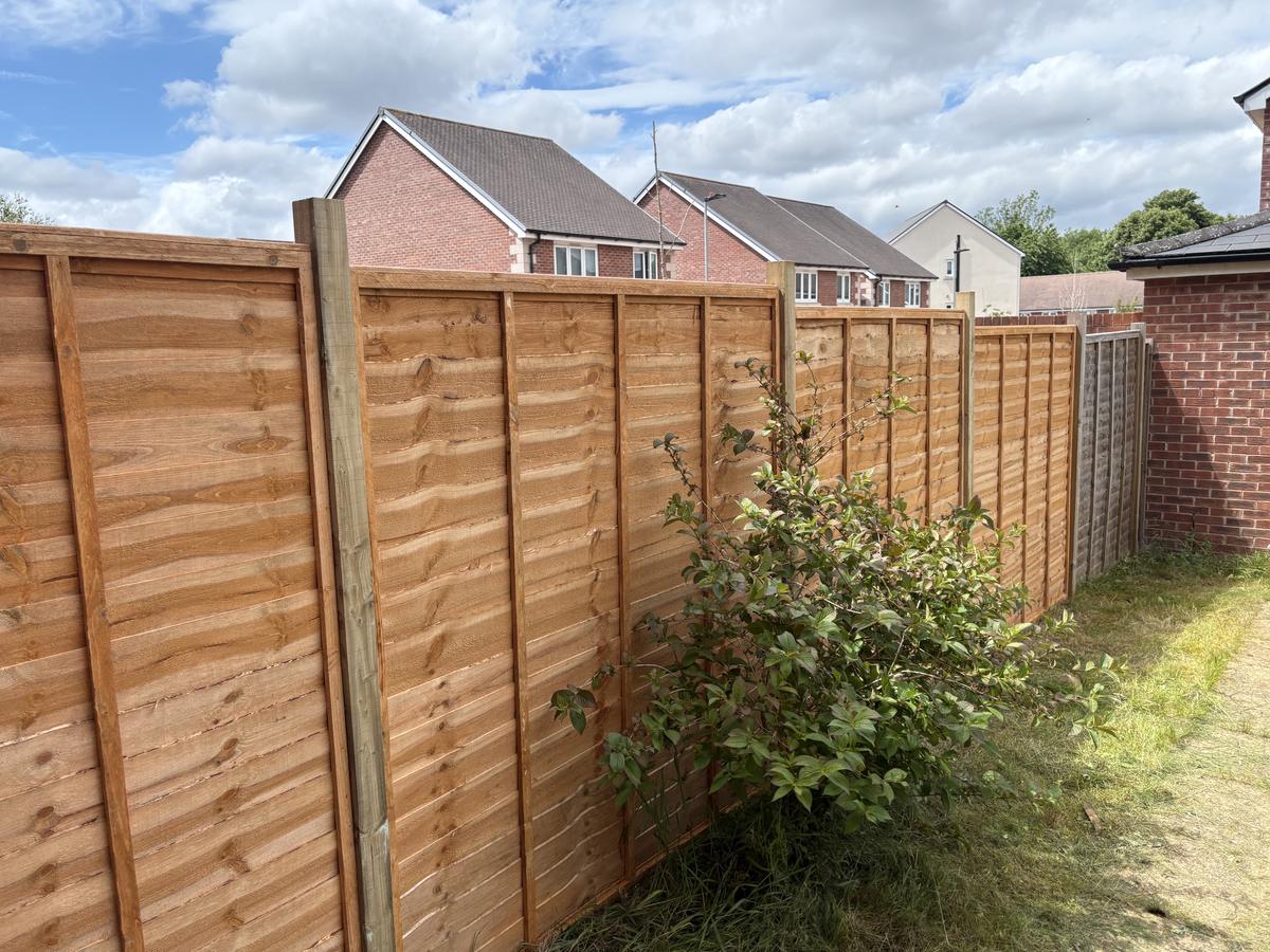 A newly fitted lap-panel fence in a Bristol garden under a blue summer sky